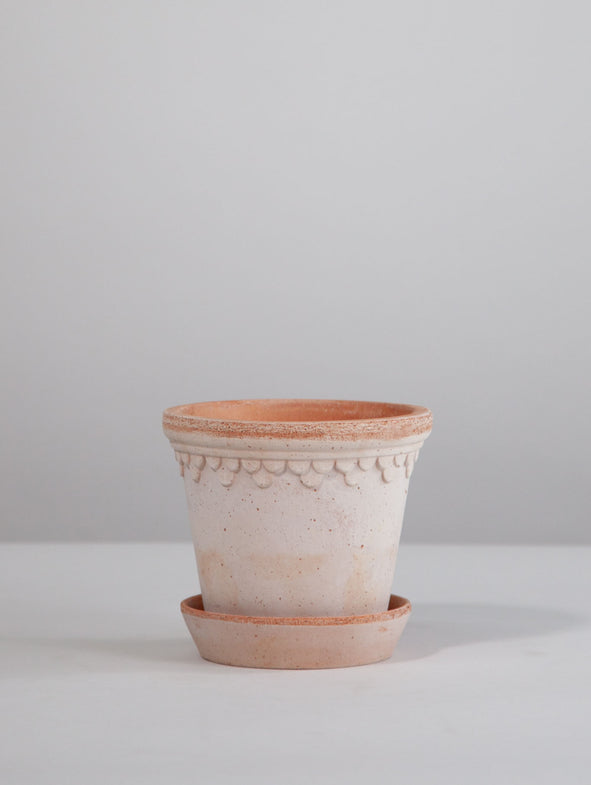 Rosa - 13cm